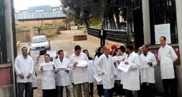 Les vétérinaires entament leur deuxième semaine de grève