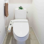 toilettes japonaises lavantes