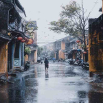 voyager au Viêt Nam