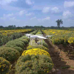 drone agricle