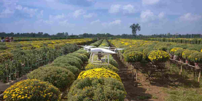 drone agricle